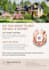 provide impeccable brochures and PDF layouts