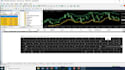 create expert advisor, mt4 eas, mt5 eas, forex eas bot or indicator for you