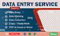 do professional data entry data collection web scarping excel data data cleaning