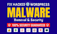 recover hacked wordpress website malware removal clean virus wordpress security