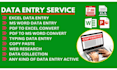 do accurate and fast data entry professionally
