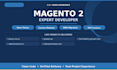 develop magento 2 store, hyva theme, custom modules and payment integration