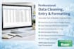 data entry and cleaning for you