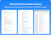 professional excel automation and python data processing