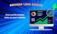 scan your website for broken links,redirects and errors