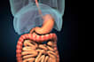 do 3d medical anatomy surgery animation human body scientific health video