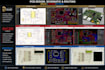 do pcb design, schematic, and routing in altium, orcad, and proteus