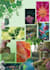 make fashion moodboards for collections
