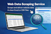 scrape website data and deliver clean excel or CSV datasets