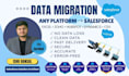 do data migration from any platform to salesforce