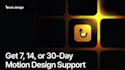 provide video,motion design services