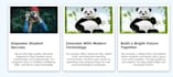 wordpress website design and redesign wordpress website development