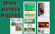 design custom editable canva ebooks and workbooks