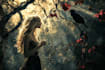 high quality photo manipulation