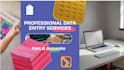 do accurate data entry and excel data cleaning