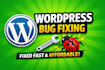 fix wordpress issues, wordpress bug fix, fix wordpress error, woocommerce fix