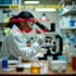 offer accurate biological lessons