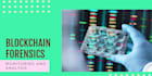 detect financial fraud, forensic analysis, fraud audit, forensic wallet analyst