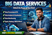 do big data extraction, big data cleaning, big data entry and big data analysis
