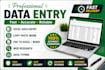 do excel data entry, copy paste, web research and typing
