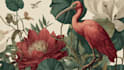 draw animal and botanical illustrations