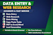 do accurate data entry, web research, data mining, and copy paste tasks
