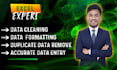 professional data formatting and cleaning services
