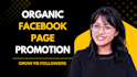 boost your facebook page followers instantly