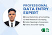 be your ultimate data entry virtual assistant for excel and web research