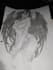 draw professional anime characters and custom tattoo designs