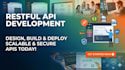 api integration  development service