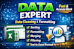 do excel data cleaning, formatting, sorting and data processing