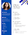 design a professional CV or resume