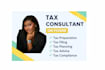provide tax preparation, filing and consulting