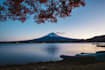 answer any questions about japan quickly and clearly