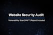 perform website security testing and vulnerability assessment