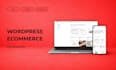 create a professional woocommerce ecommerce website