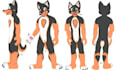 design a detailed anthro and fursuit reference sheet