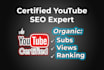complete channel SEO and growth optimization