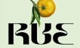 design a huge logo for your company