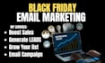 do email marketing campaigns leads generation email list to boost black friday