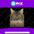 do machine friendly embroidery digitizing