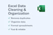 clean and organize your excel data professionally