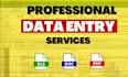 do data entry microsoft excel