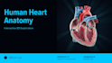 create an interactive 3d medical anatomy viewer