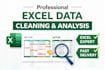 clean, format, analyze your excel data professionally