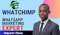set up whatchimp whatsapp API and create automated chatbots