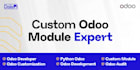 develop and customize odoo erp modules and features