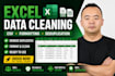 do excel data cleaning, formatting and data cleanup