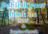 format your book  on ingramspark or amazon
